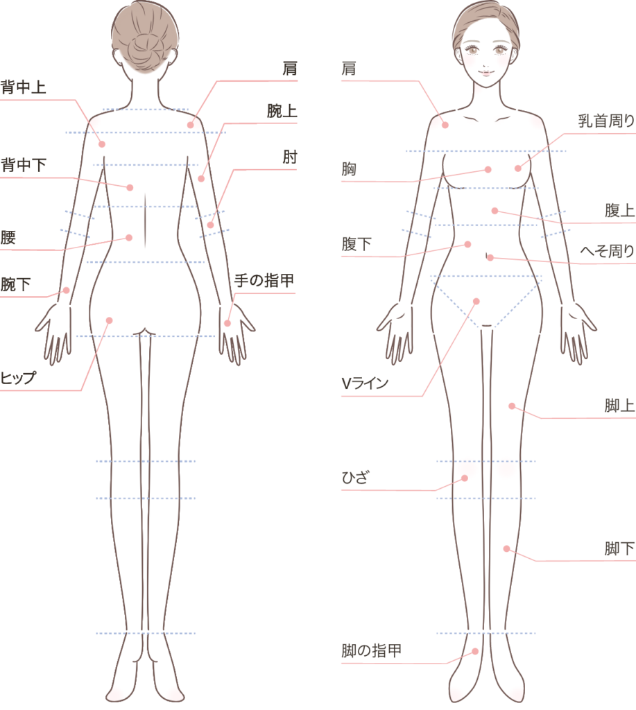 女性の全身の脱毛施術箇所のイラスト