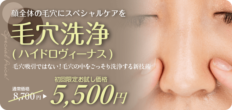 顔全体の毛穴のスペシャルケア毛穴洗浄ハイドロヴィーナス。ベーシック毛穴洗浄通常8700円が初回お試し価格5500円でご提供